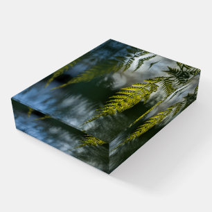 Fern Nature Photo Paperweight