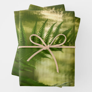 Fern Nature Photo Wrapping Paper Sheets
