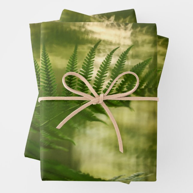 Fern Nature Photo Wrapping Paper Sheets (In situ)
