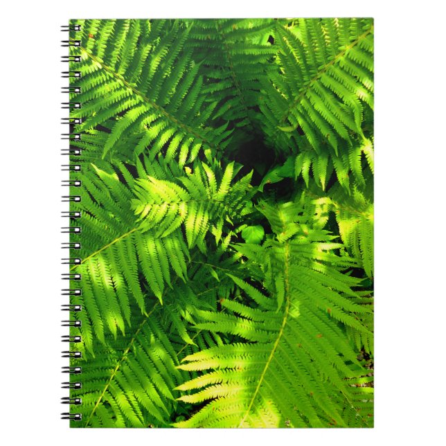 Fern Notebook (Front)