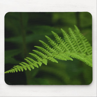 Fern P6597 Mousepad