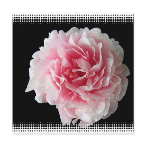 Fern Peony Invitation