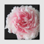 Fern Peony Square Magnet