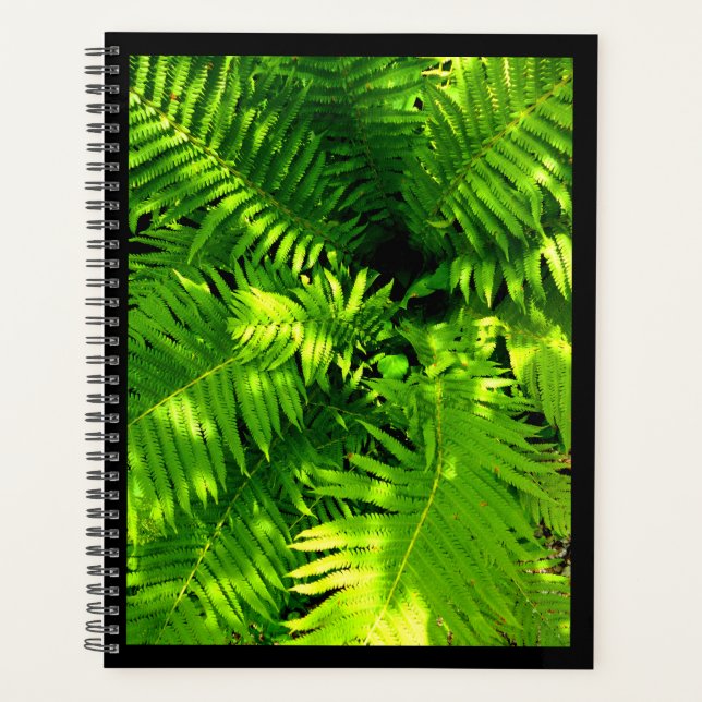 Fern Planner (Front)