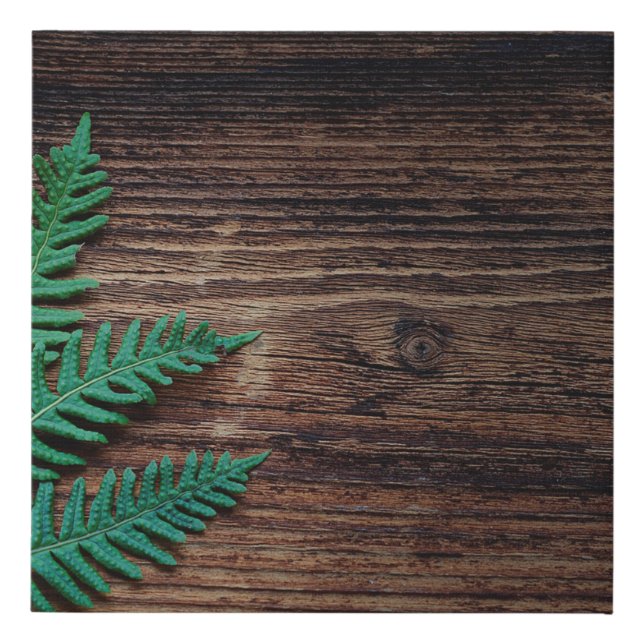 Fern plant wood small fern grunge faux canvas print (Front)