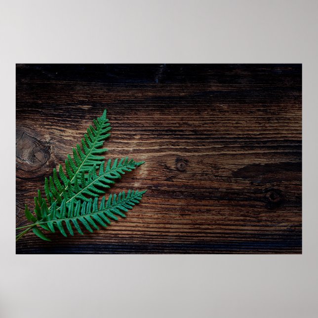 Fern plant wood small fern grunge poster (Front)