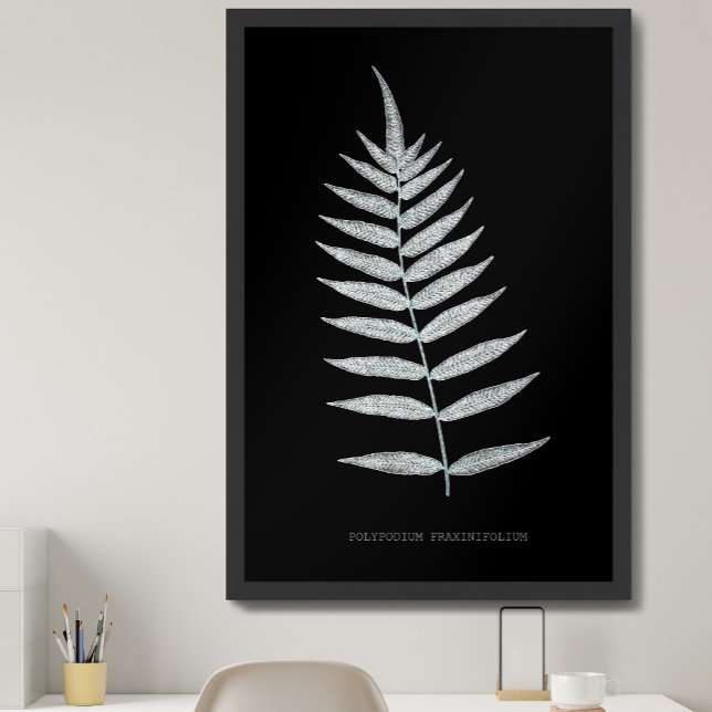 Fern - Polypodyum Fraxinifolium - X-ray effect -08 Metal Print (Creator Uploaded)