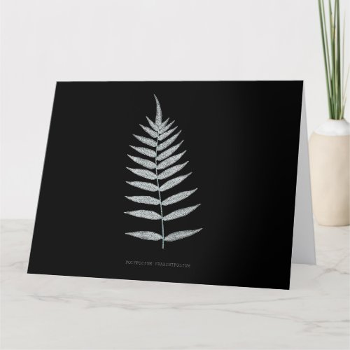 Fern _ Polypodyum Fraxinifolium _ X_ray effect _08 Thank You Card