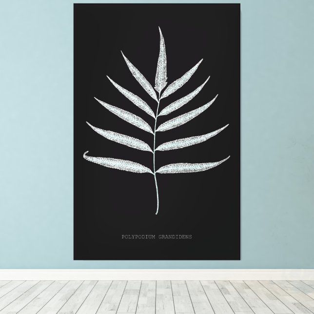 Fern - Polypodyum Grandidens - X-ray effect - 10 Canvas Print (Insitu(Wood Floor))