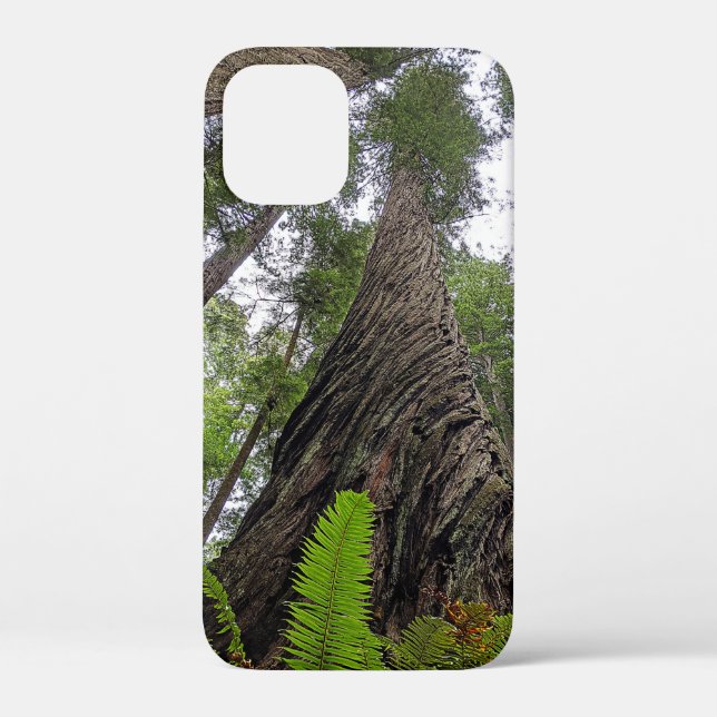 Fern Reaching To Sky Along Redwood's Swirled Bark Case-Mate iPhone Case (Back)