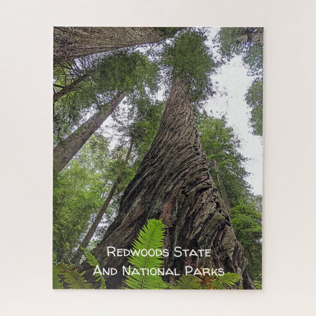Fern Reaching To Sky Along Redwood's Swirled Bark Jigsaw Puzzle (Vertical)