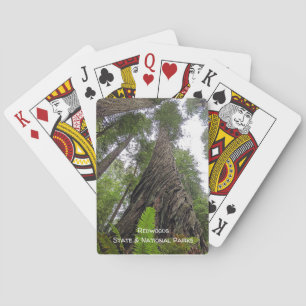 Fern Reaching To Sky Along Redwood's Swirled Bark Poker Cards