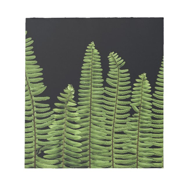 Fern Row Notepad (Front)