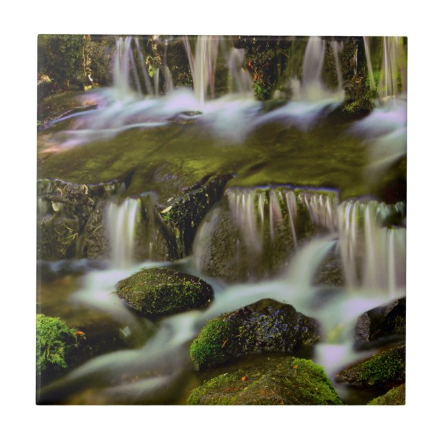 Fern Spring, Yosemite National Park, California Ceramic Tile (Front)