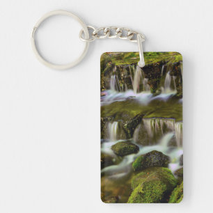 Fern Spring, Yosemite National Park, California Keychain