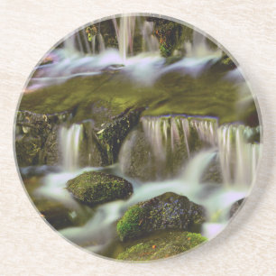 Fern Spring, Yosemite National Park, California Sandstone Coaster