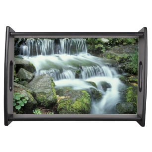 Fern Spring, Yosemite National Park Serving Tray