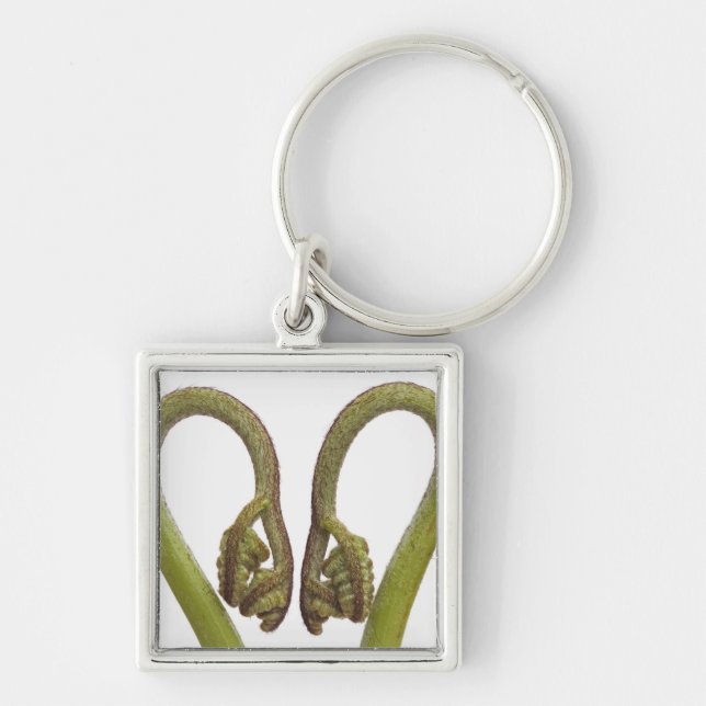 Fern sprouts 2 keychain (Front)
