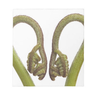 Fern sprouts 2 notepad