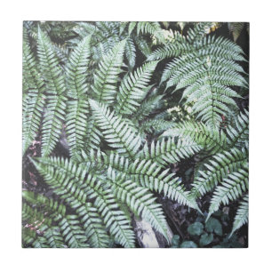 Fern Tropical Green Leaves Plant Woodland Foliage Ceramic Tile
