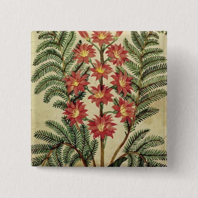 Fern with red and yellow flowers pinback button (Front)