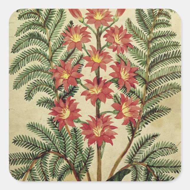 Fern with red and yellow flowers square sticker (Front)