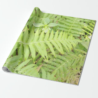 Fern Wrapping Paper Matt