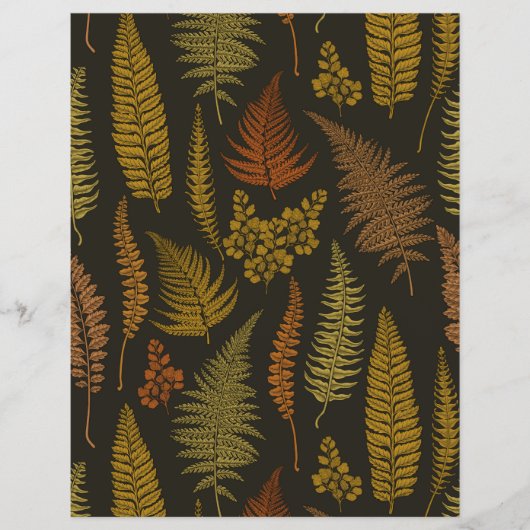 ferns 3 (Front)