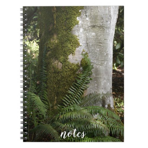 Ferns and Moss Covered Tree Nature Photo Notebook