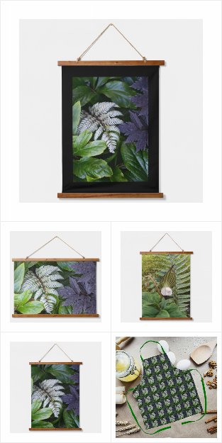 Ferns and Woodland Flora