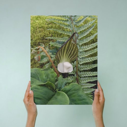 Ferns and Woodland Plants Floral Canvas Print