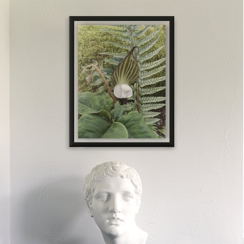 Ferns and Woodland Plants Floral Poster