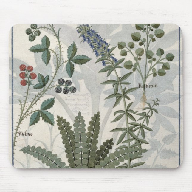 Ferns, Brambles and Flowers Mouse Pad (Front)
