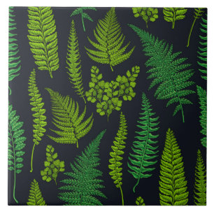 Ferns Ceramic Tile