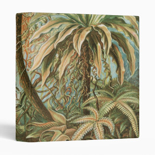 Ferns, Filicinae Laubfarne by Ernst Haeckel 3 Ring Binder