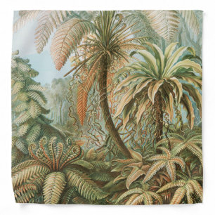 Ferns, Filicinae Laubfarne by Ernst Haeckel Bandana