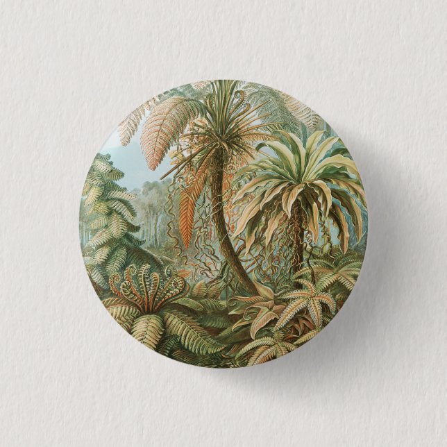 Ferns, Filicinae Laubfarne by Ernst Haeckel Button (Front)