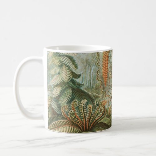 Ferns Filicinae Laubfarne by Ernst Haeckel Coffee Mug