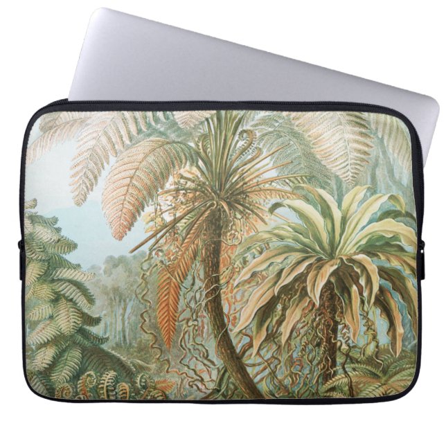 Ferns, Filicinae Laubfarne by Ernst Haeckel Laptop Sleeve (Front)