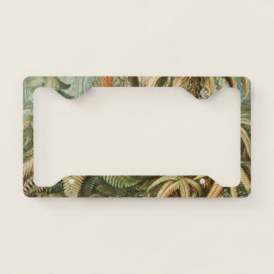 Ferns, Filicinae Laubfarne by Ernst Haeckel License Plate Frame