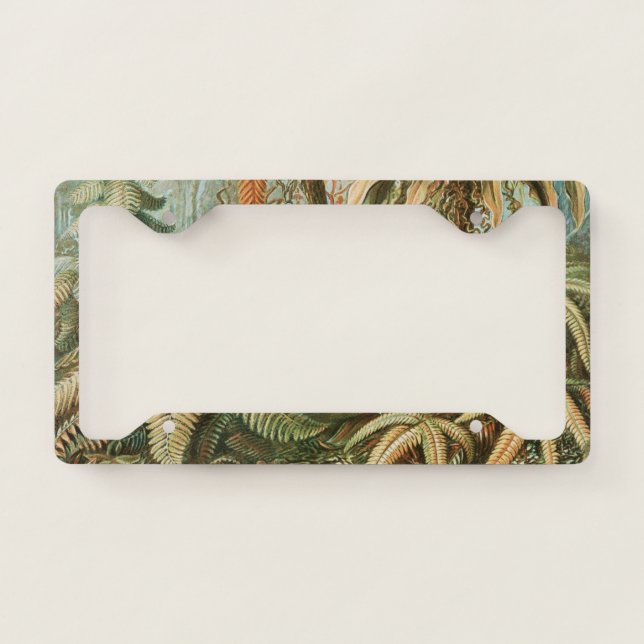 Ferns, Filicinae Laubfarne by Ernst Haeckel License Plate Frame (Front)
