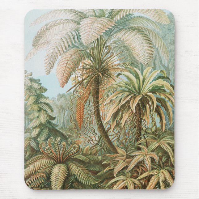 Ferns, Filicinae Laubfarne by Ernst Haeckel Mouse Pad (Front)