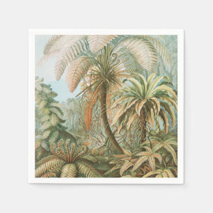 Ferns, Filicinae Laubfarne by Ernst Haeckel Napkins