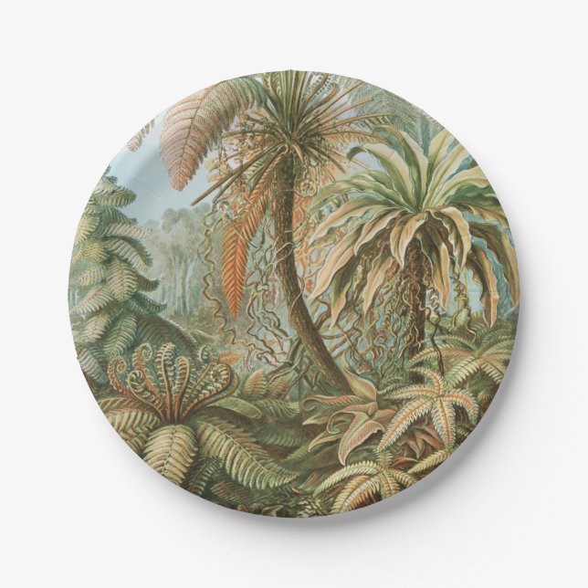 Ferns, Filicinae Laubfarne by Ernst Haeckel Paper Plates (Front)