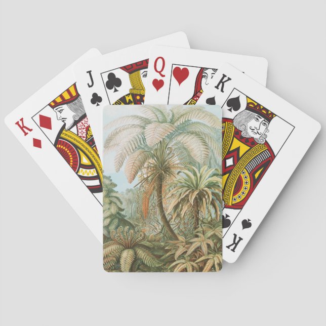 Ferns, Filicinae Laubfarne by Ernst Haeckel Poker Cards (Back)