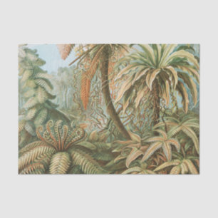 Ferns, Filicinae Laubfarne by Ernst Haeckel Tissue Paper