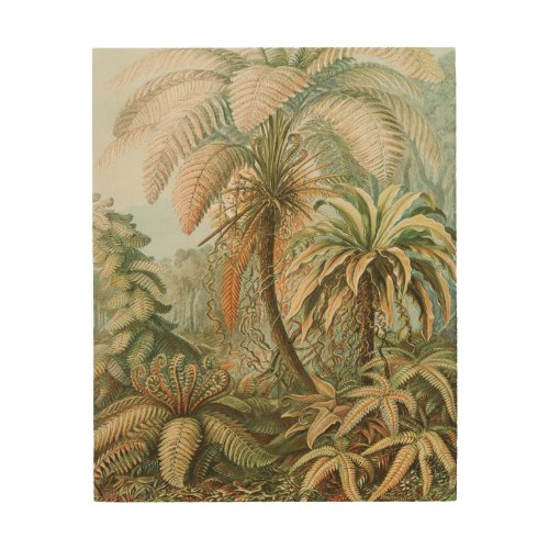 Ferns Filicinae Laubfarne by Ernst Haeckel Wood Wall Art