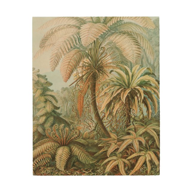 Ferns, Filicinae Laubfarne by Ernst Haeckel Wood Wall Art (Front)