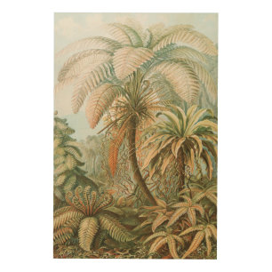 Ferns, Filicinae Laubfarne by Ernst Haeckel Wood Wall Art