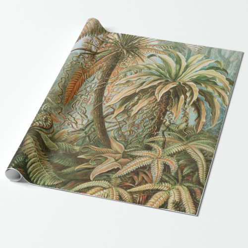Ferns Filicinae Laubfarne by Ernst Haeckel Wrapping Paper